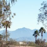 Litchfield Park