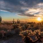 Scottsdale